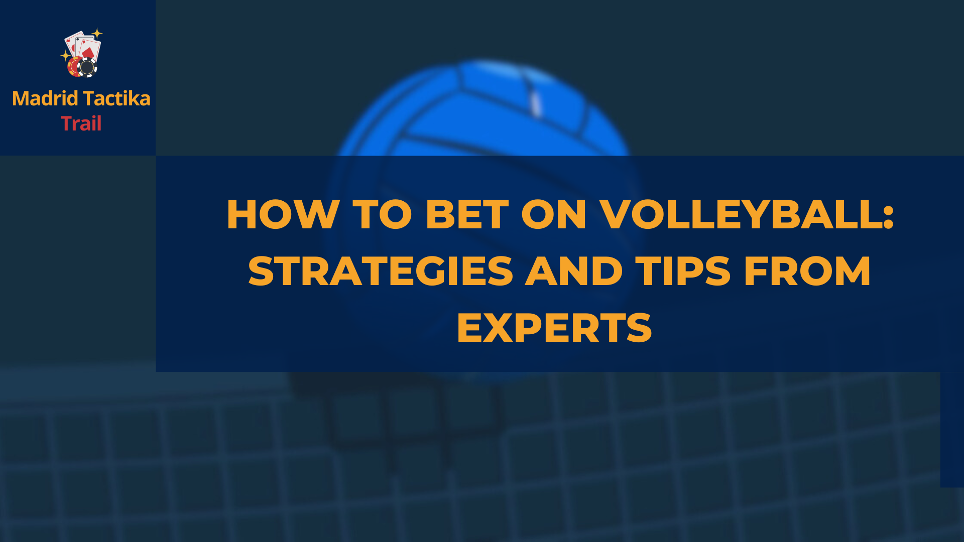 How to bet on volleyball